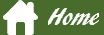 home button